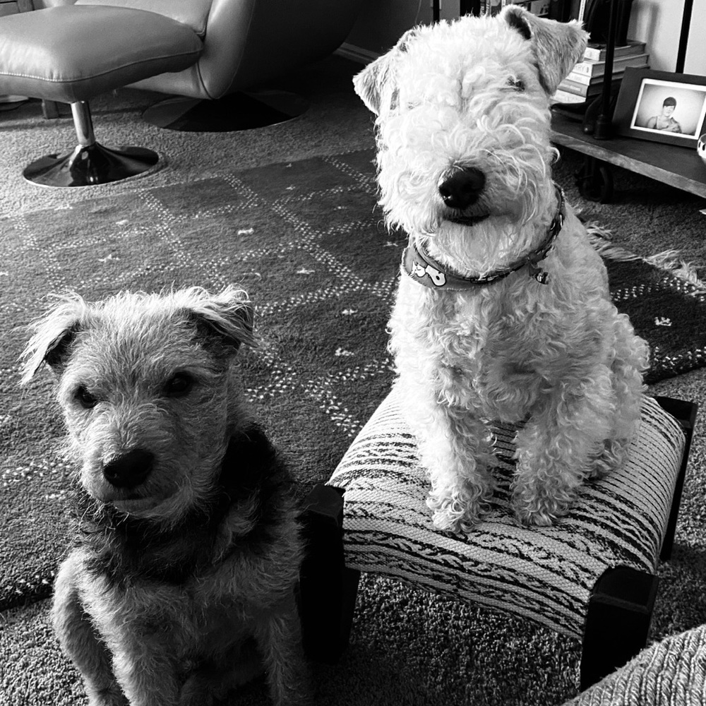 Meet your Posher, Julia